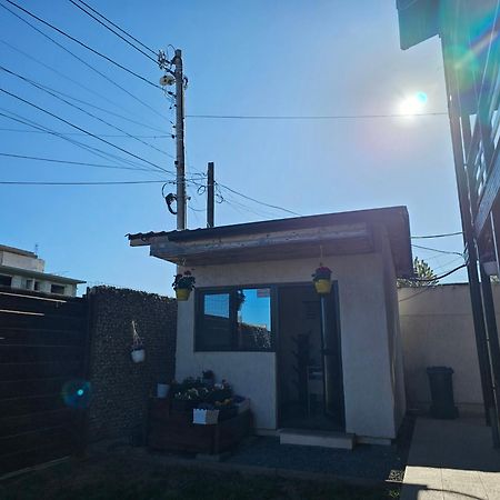 Vila Natalia Vama Veche Exteriör bild