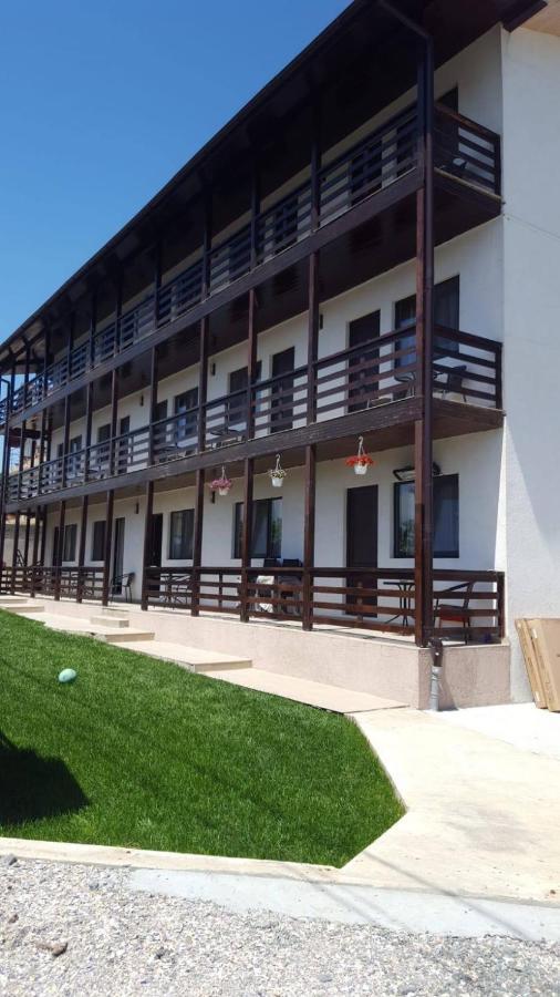 Vila Natalia Vama Veche Exteriör bild